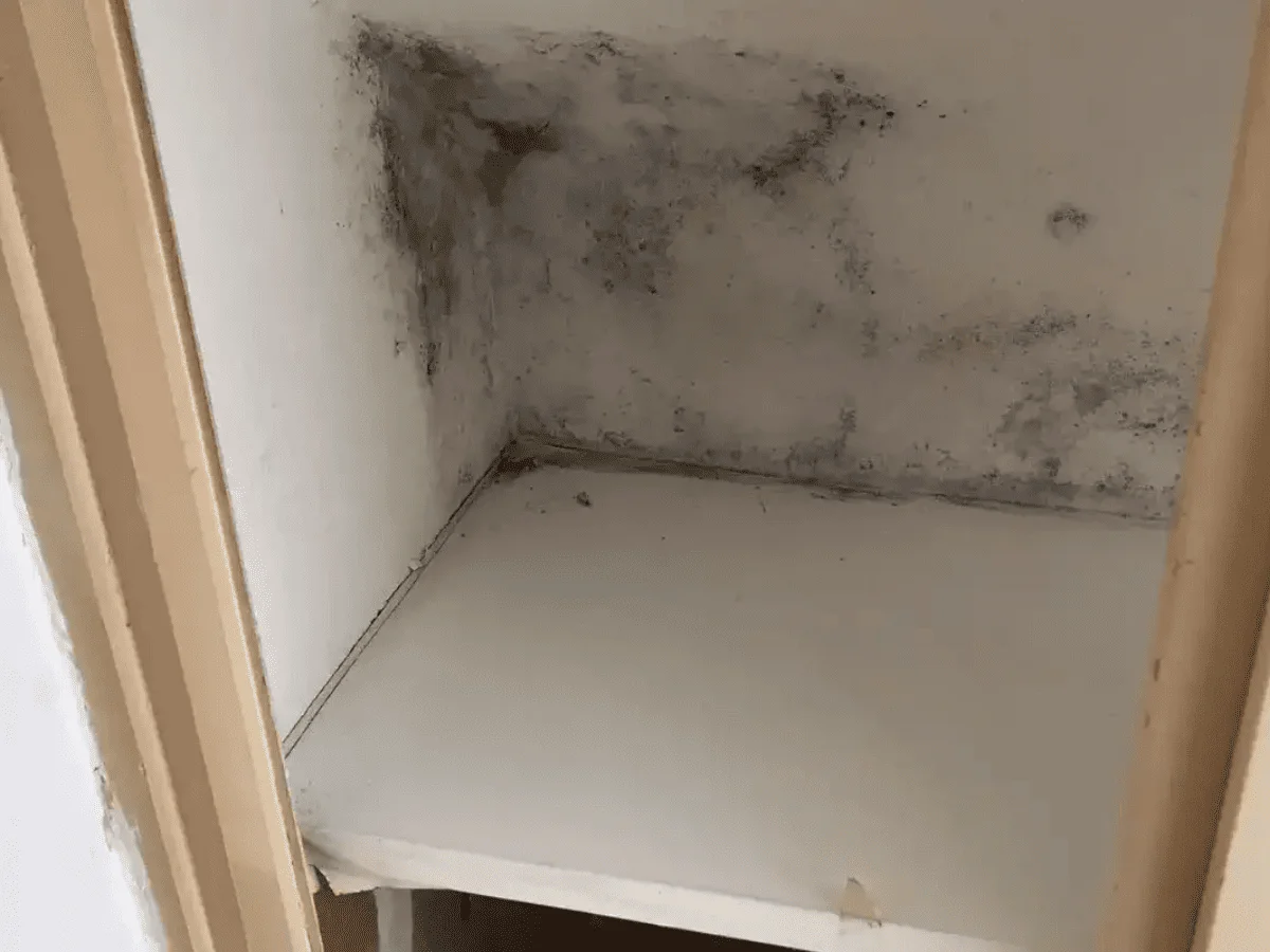 Traitement de l'humidité à Rennes par Okmont