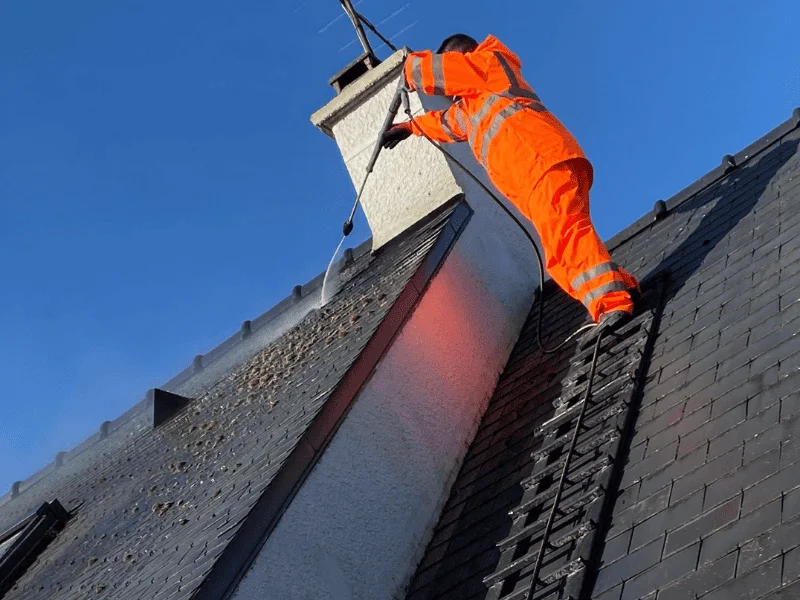 Démoussage et entretien toiture à Rennes