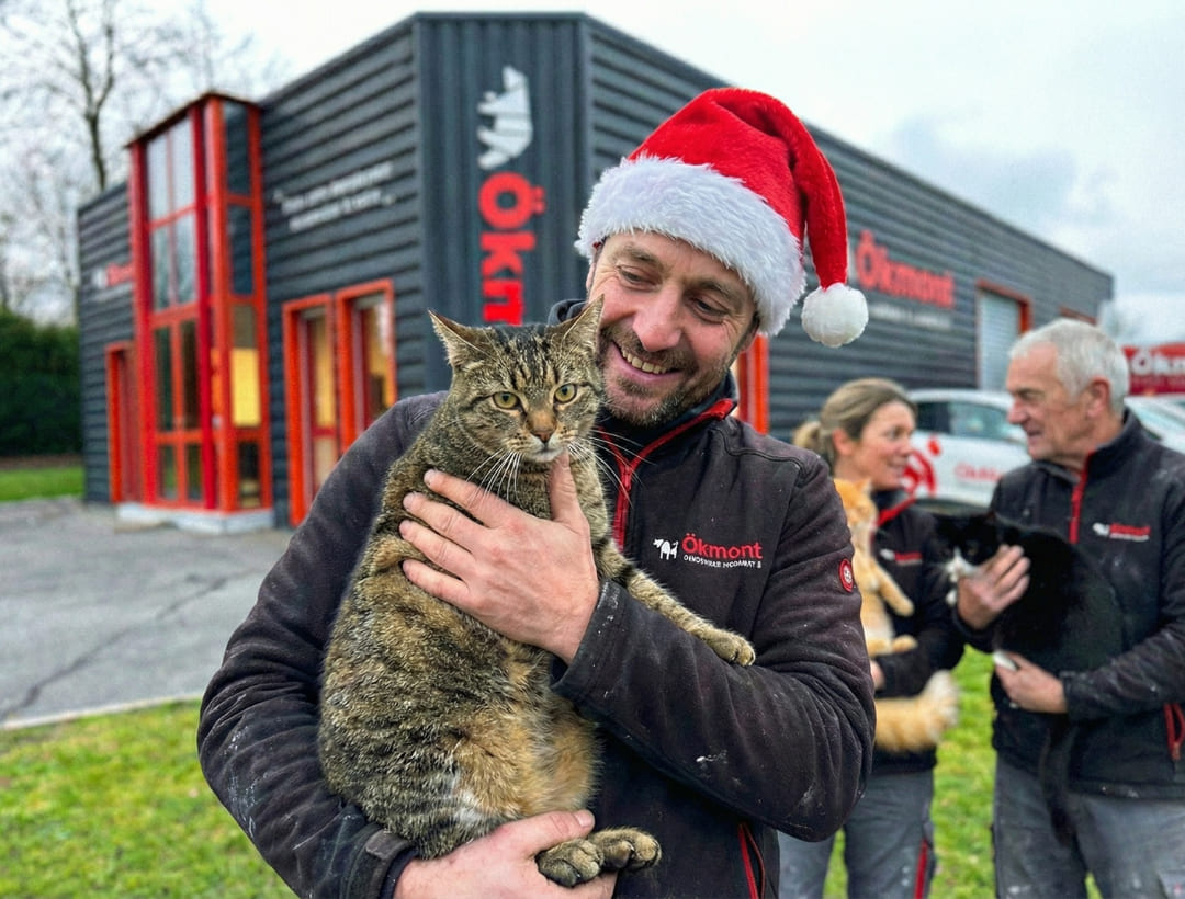 Chat chauffant Okmont