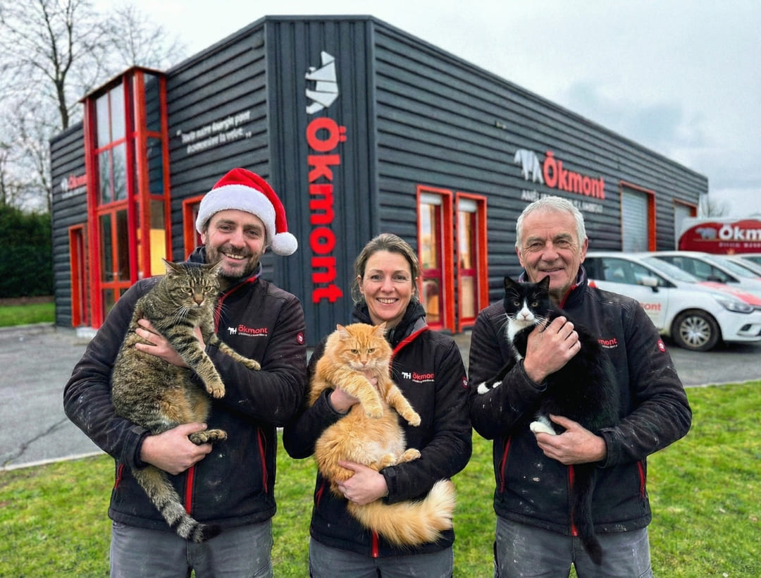 Les trois chats chauffants Okmont